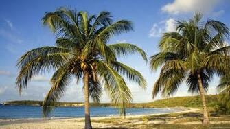 Red Beach Vieques Puerto Rico Newhairstylesformen2014
