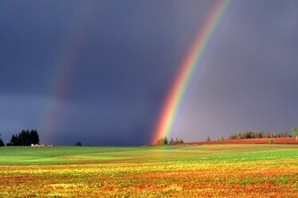 To Wallpaper Just Right Click On Pictures And Select Save