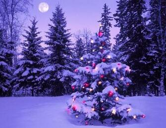 Photo Trick Beautiful Christmas HD Wallpaper