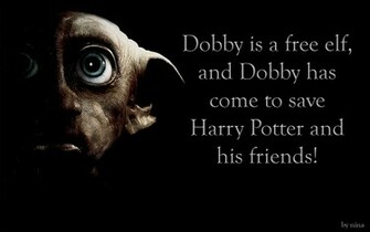 Dobby Un Elfo Libre Fondos De Pantalla Fotos
