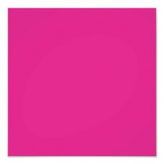 Barbie Pink Background Photographic Print