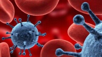 Bacteria HD Wallpaper Desktop Image