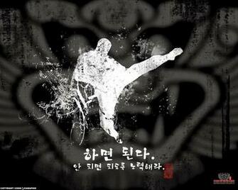 Martial Arts Wallpaper Art Fight Photos