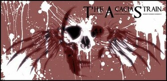 The Jpg