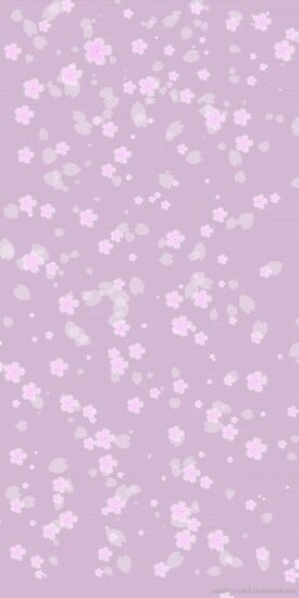 Lilac Sakura Background By Waiting Wish