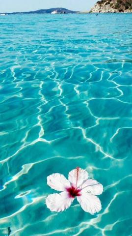 Incredible iPhone Ocean Wallpaper Aesthetics