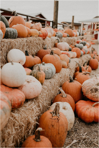 Fall Wallpaper Aesthetic Cute