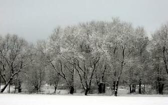 Winter Wallpaper