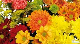 Autumn Colours Details Background Wallpaper Image