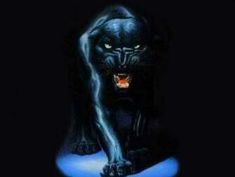Pantera Negra Wallpaper