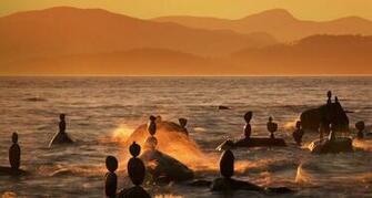 Balanced Rocks In English Bay Vancouver British Columbia Canada
