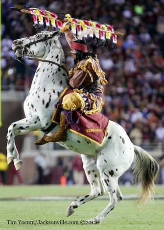 Florida And State The Sunshine Showdown