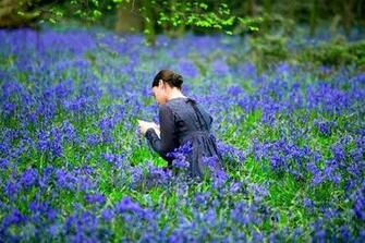 Wallpaper Of Beautiful Girls Are Reading The Books Wikichoices