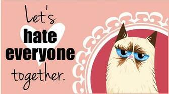 Grumpy Cat Valentine Attitude Cover Photos For
