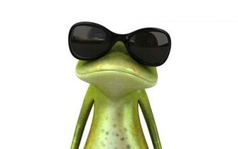 Frog 3d Wallpaper For Desktop HD