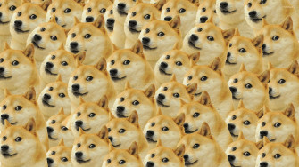 Dode Meme Wallpaper