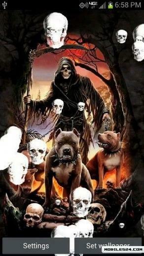 Death By Pitbulls Live Wallpaper App To Your Android Phone Or Tablet