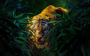 Shere Khan The Jungle Book Wallpaper