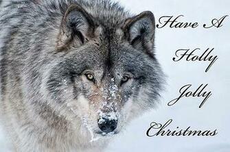 Michael Cummings Portfolio Christmas Card Timber Wolf