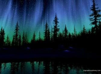 Aurora Forest Desktop Wallpaper Inspiration