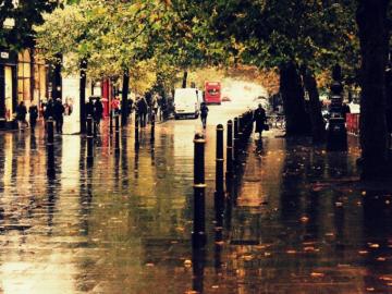 Autumn In The City Wallpaper