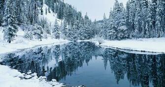 In Winter Forest Watch Wallpaper Of Nature For Ios