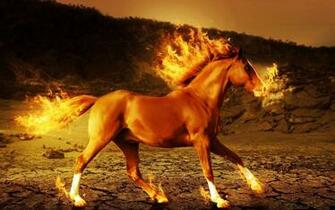 Horse Fire 3d Art Psychedelic G Wallpaper