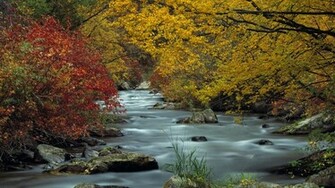 Scenery Autumn Nature Beautiful Wallpaper