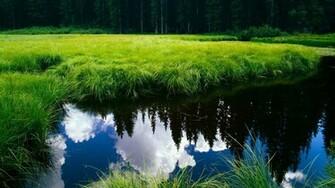 Best Wallpaper HD Nature