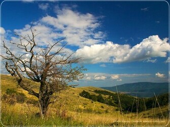 Landscape Wallpaper