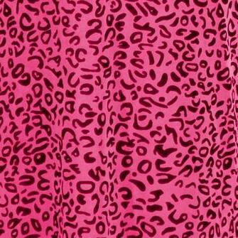 Pink And Black Zebra Wallpaper HD Pretty