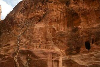 Petra In Jordan Wide Wallpaper