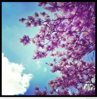 First Day Of Spring