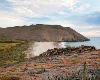 Rave Run Baja California Sur Mexico Runner S World
