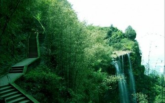 Bamboo Desktop Wallpaper Shunan Green