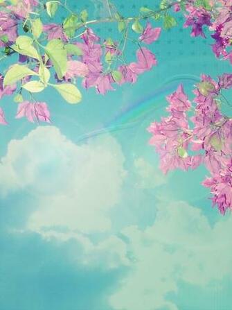 Set Wallpaper On Your Desktop