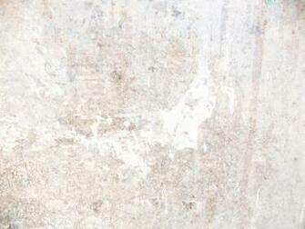Stucco Texture Photo Background White