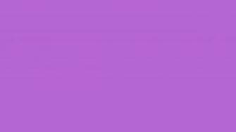 Lilac Solid Color Background And The Below