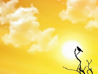 Bright Sunny Day