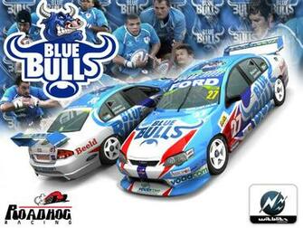Blue Bulls By Witblitz