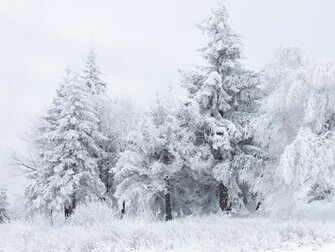 File Snow Scene At Shipka Pass Jpg Wikipedia The