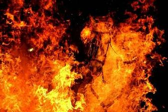 Year Of Fiery Horse Wallpaper And Image