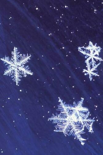 Winter Wallpaper For iPhone