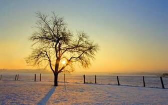 Winter Sunrise Wallpaper