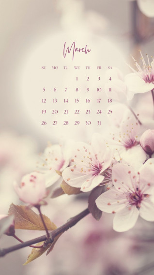 Customize Spring Aesthetic Phone Wallpaper Templates Online