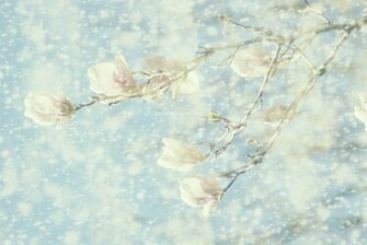 Babies Wallpaper Baby Blue