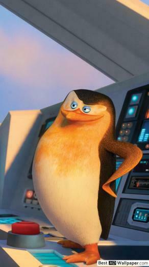 Penguins Of Madagascar The Wolf And Skipper HD Wallpaper
