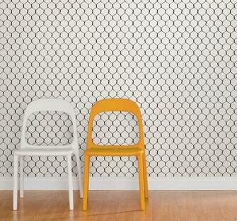 Chicken Wire Designyourwall