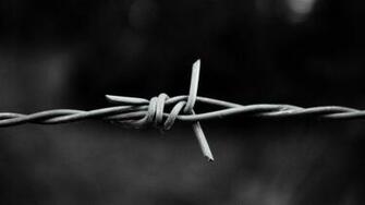 Monochrome Knot Wallpaper