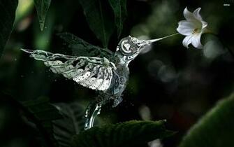 Robot HD Wallpaper High Definition Quality